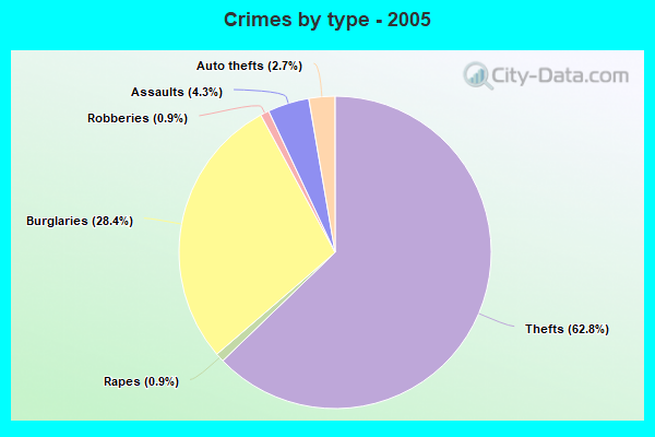 Crimes by type - 2005