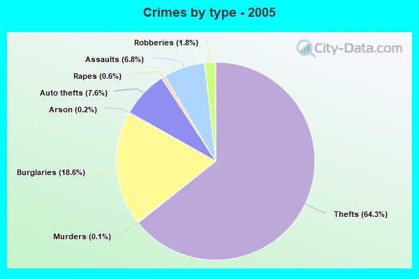 Crimes by type - 2005