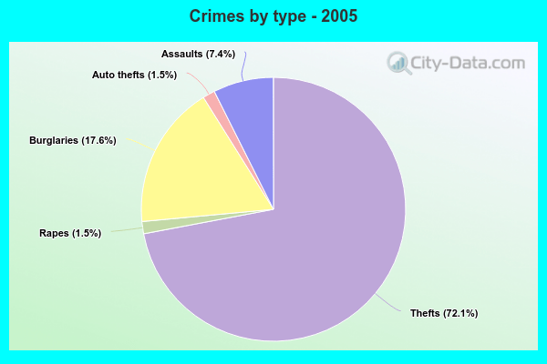 Crimes by type - 2005