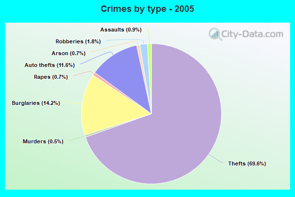 Crimes by type - 2005