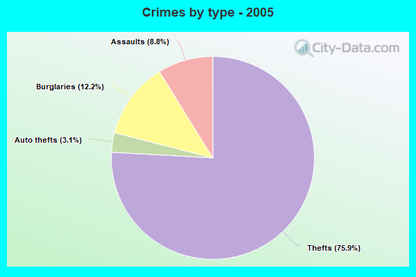 Crimes by type - 2005