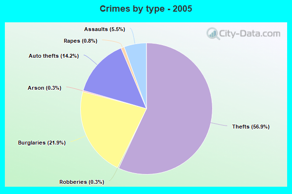 Crimes by type - 2005