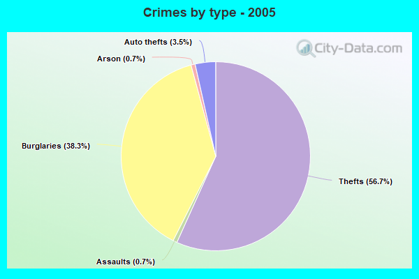 Crimes by type - 2005