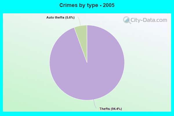 Crimes by type - 2005