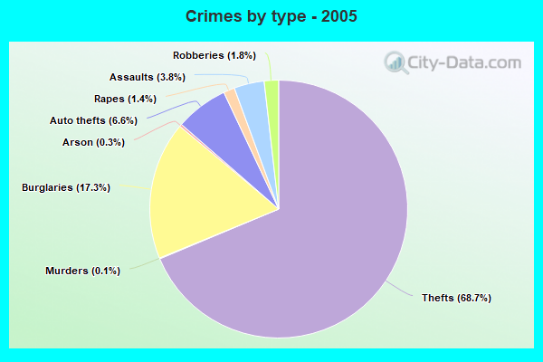 Crimes by type - 2005