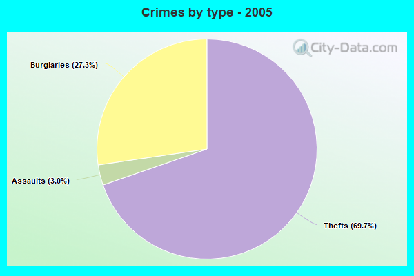 Crimes by type - 2005