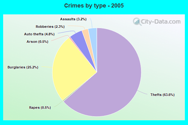 Crimes by type - 2005