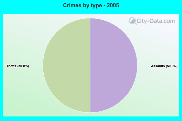 Crimes by type - 2005