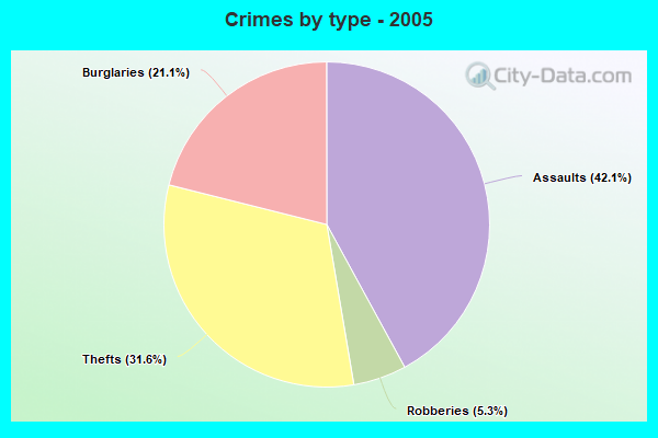 Crimes by type - 2005