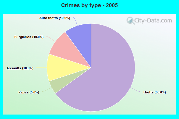 Crimes by type - 2005