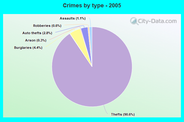 Crimes by type - 2005