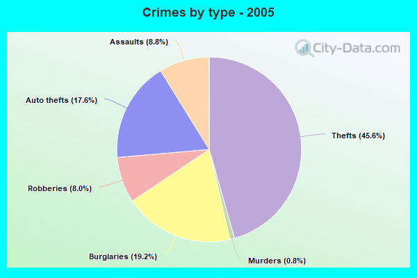 Crimes by type - 2005