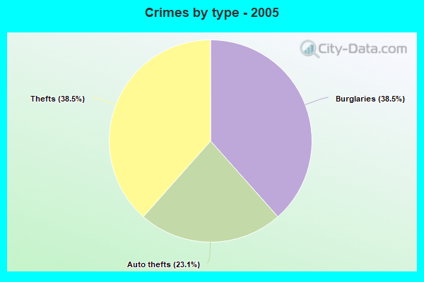 Crimes by type - 2005