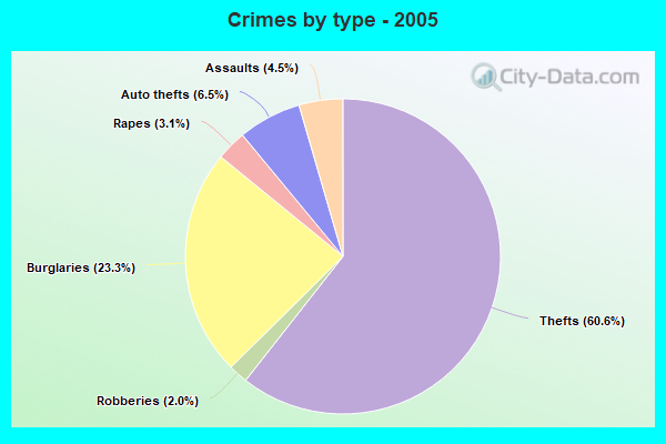 Crimes by type - 2005