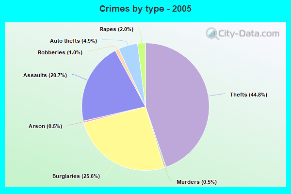 Crimes by type - 2005