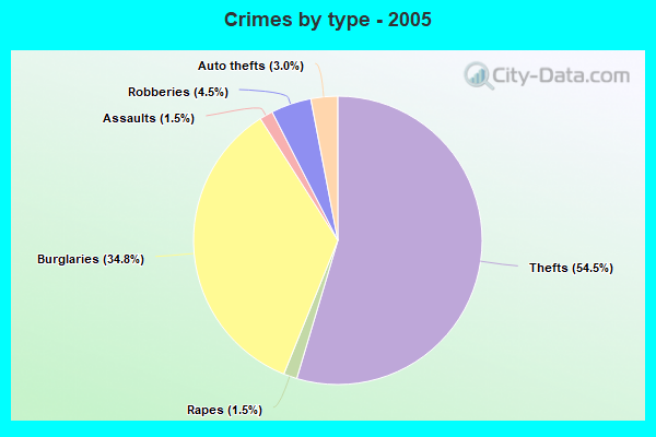 Crimes by type - 2005