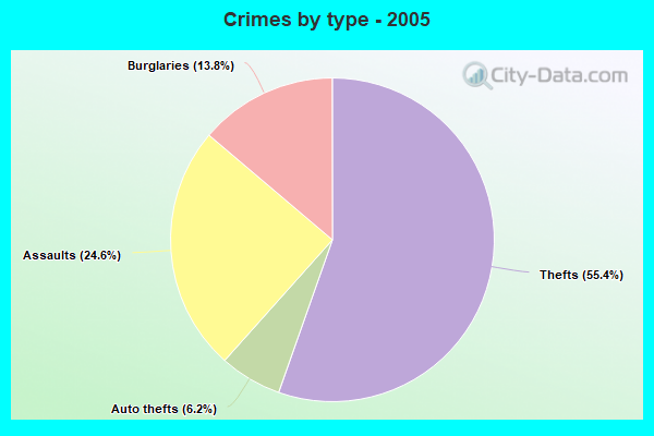 Crimes by type - 2005