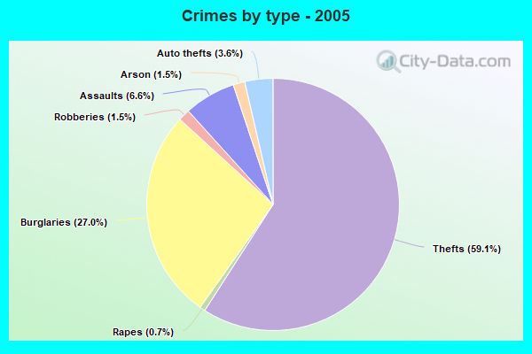 Crimes by type - 2005