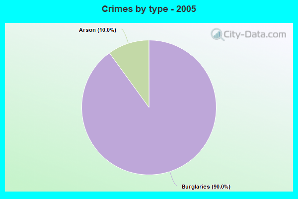 Crimes by type - 2005