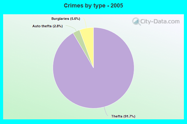 Crimes by type - 2005