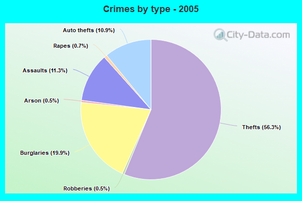 Crimes by type - 2005