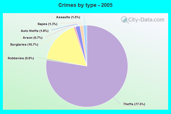 Crimes by type - 2005