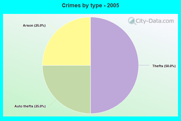 Crimes by type - 2005