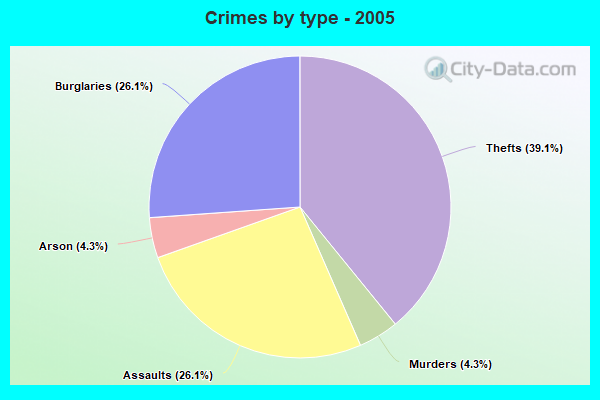 Crimes by type - 2005