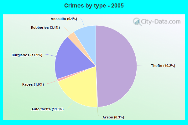 Crimes by type - 2005