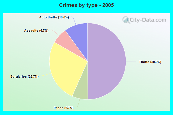 Crimes by type - 2005