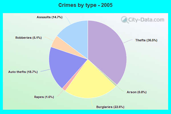 Crimes by type - 2005