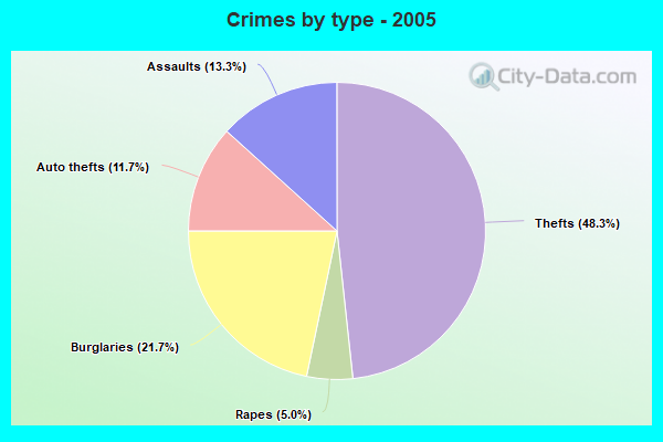 Crimes by type - 2005