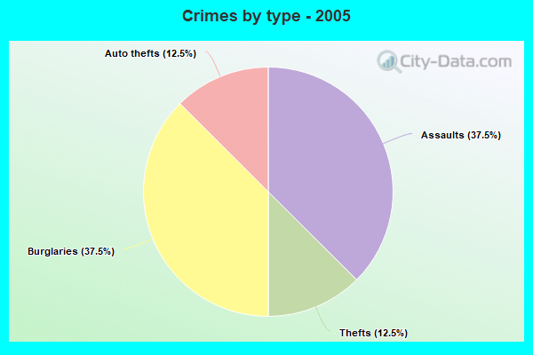 Crimes by type - 2005