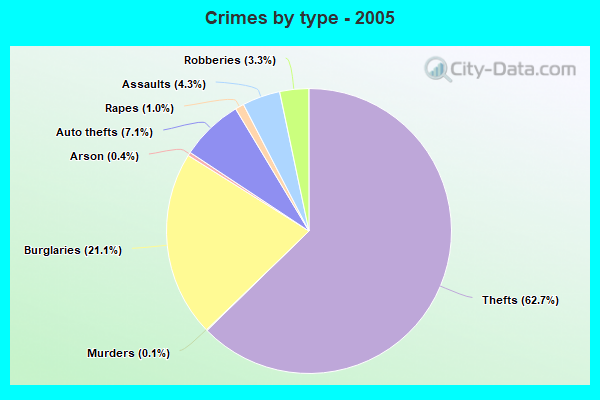 Crimes by type - 2005