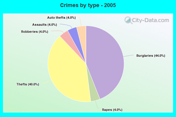 Crimes by type - 2005