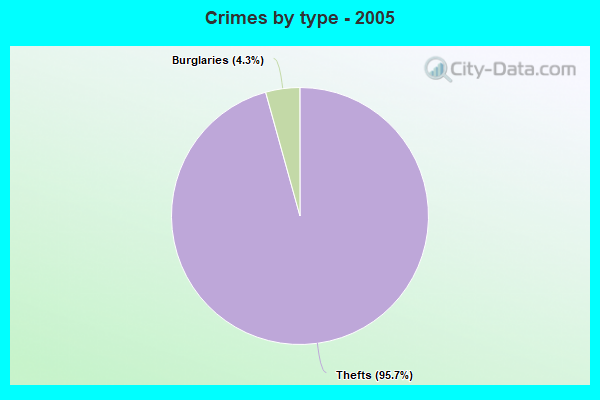 Crimes by type - 2005