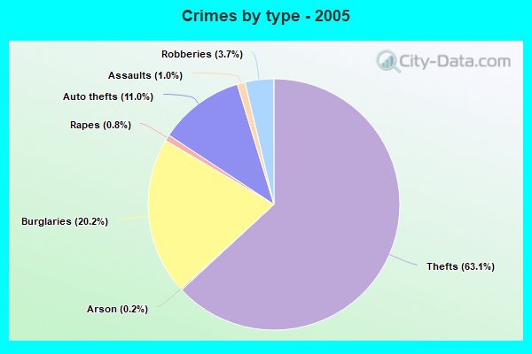 Crimes by type - 2005