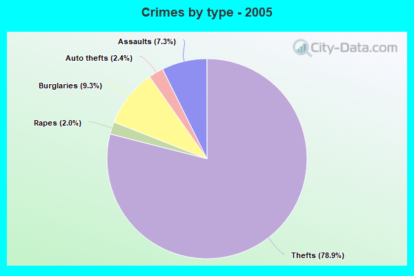 Crimes by type - 2005