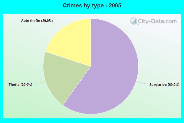 Crimes by type - 2005