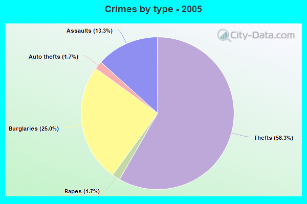 Crimes by type - 2005