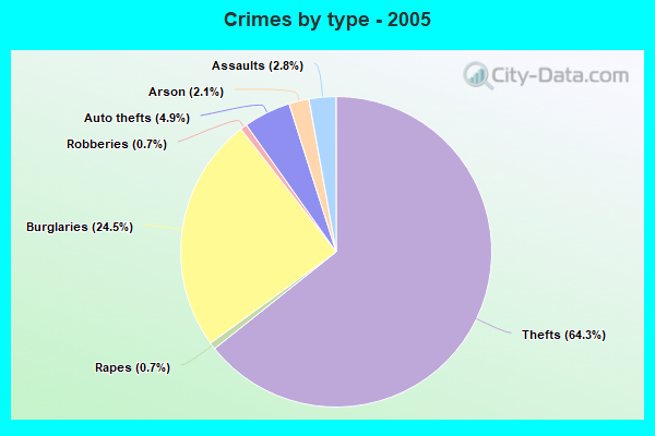 Crimes by type - 2005