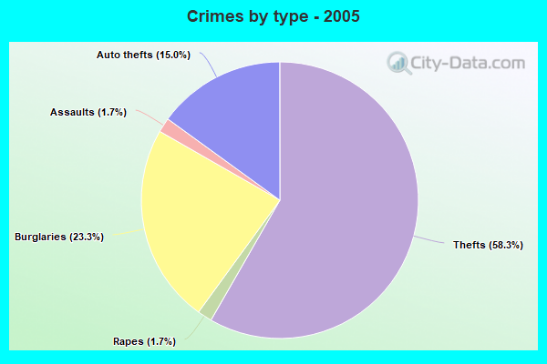 Crimes by type - 2005