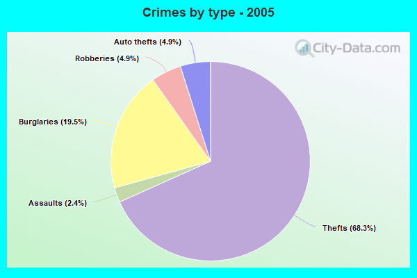 Crimes by type - 2005