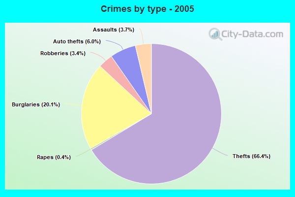 Crimes by type - 2005