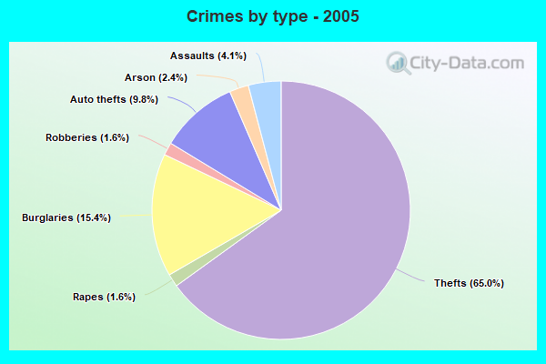 Crimes by type - 2005