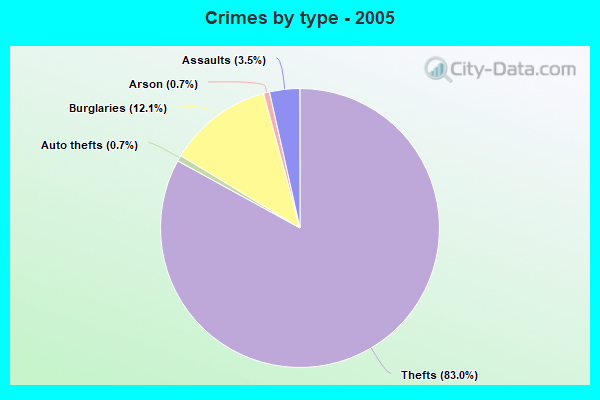 Crimes by type - 2005