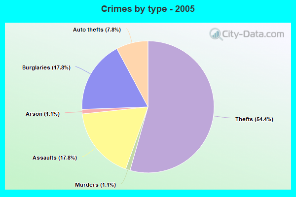 Crimes by type - 2005