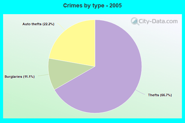 Crimes by type - 2005