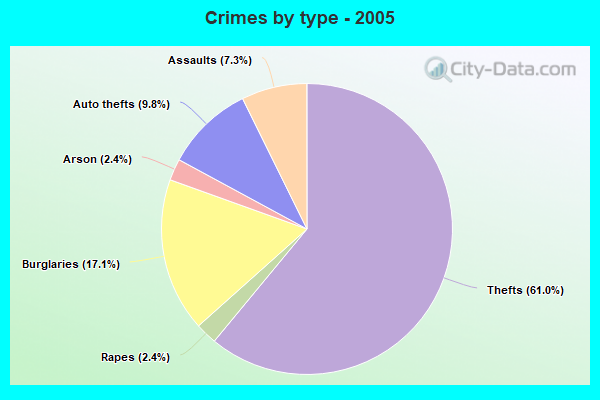 Crimes by type - 2005