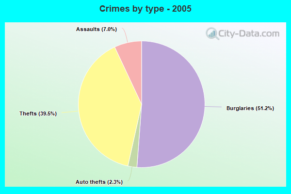 Crimes by type - 2005